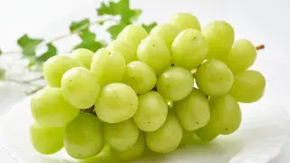 Korean Shine Muscat grapes tested in Kazakhstan