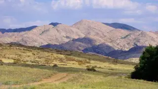 Over 172,000 hectares of land was returned to state in Ulytau region