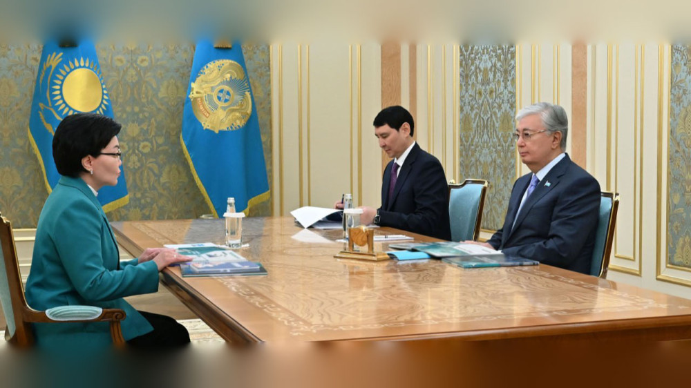 Targeted assistance, employment: Tokayev received Minister Zhakupova