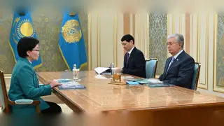 Targeted assistance, employment: Tokayev received Minister Zhakupova