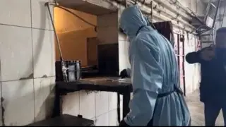 Two more cows have died from anthrax in Atyrau