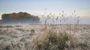 Fog and frost: Weather forecast for Kazakhstan on December 5