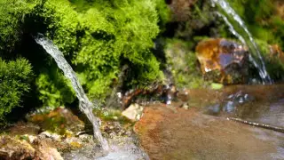 Five sources of water in Kazakhstan have been named