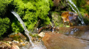 Five sources of water in Kazakhstan have been named