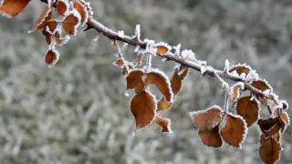 Frosts up to 25 degrees: weather in Kazakhstan on December 9