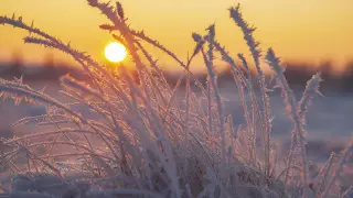 Frosts and snowstorms: Weather in Astana and Almaty for the next 3 days