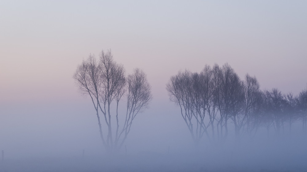 Blizzard and frost of up to -28°C: Weather in Kazakhstan for December 10