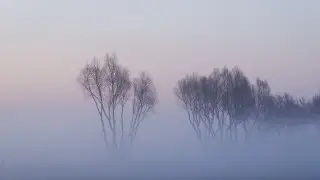 Blizzard and frost of up to -28°C: Weather in Kazakhstan for December 10