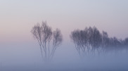 Blizzard and frost of up to -28°C: Weather in Kazakhstan for December 10