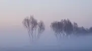 Blizzard and frost of up to -28°C: Weather in Kazakhstan for December 10