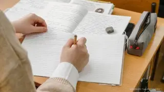 Schoolchildren shift to online learning amid frosts in two regions