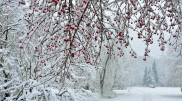 Strong winds and snow: Weather forecast for Astana and Almaty for next three days