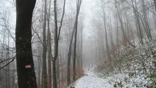 Blizzard, frost, and strong winds: Weather in Kazakhstan on December 13