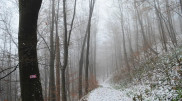 Blizzard, frost, and strong winds: Weather in Kazakhstan on December 13