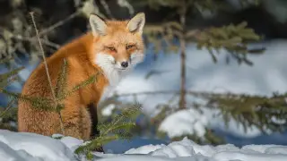 Sharp cold snap is coming to Kazakhstan