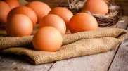 To wash or not to wash eggs: Here's what experts say