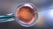 Scientists have made revolutionary breakthrough in the IVF procedure