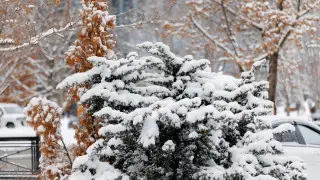 Frost, occasional snow, and blizzards: Weather in Kazakhstan for December 23