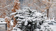 Frost, occasional snow, and blizzards: Weather in Kazakhstan for December 23