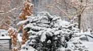 Frost, occasional snow, and blizzards: Weather in Kazakhstan for December 23
