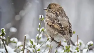 Warmer weather expected in Kazakhstan