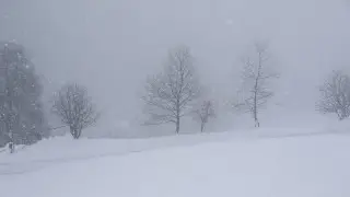 Frost of up to -35°C: Weather in Kazakhstan on December 26