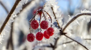Snow and 35-degree frosts: Weather in Kazakhstan on December 27