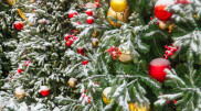 New Year weather: Snow and warmer temperatures in Kazakhstan