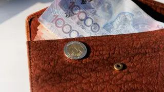 Minimum salary and MCI updated in Kazakhstan