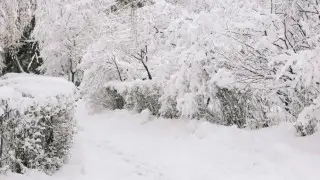 Frost of up to -25°C: Weather forecast in Kazakhstan for January 6