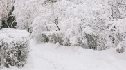 Frost of up to -25°C: Weather forecast in Kazakhstan for January 6