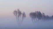 Snow, fog, and ice: Weather in Kazakhstan for January 9