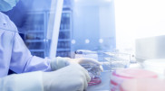 First case of human metapneumovirus infection reported in Europe