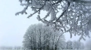 Snowstorm and frost of up to -23°C: Weather in Kazakhstan on January 10