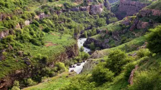 New nature reserves will be established in Kazakhstan