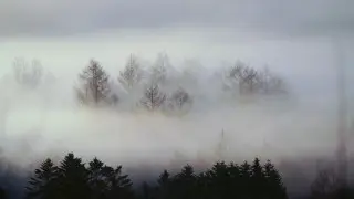 Fog, ice, wind: Storm warning issued in 11 regions of the country