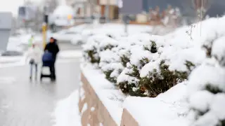 Temperature record shattered: Unusually warm December in Kazakhstan