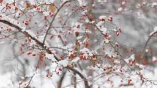 Kazhydromet warns residents of Almaty and Astana