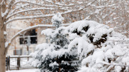 Atlantic cyclone will bring rain and snow to Kazakhstan