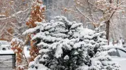 Snow and -33°C frost: Weather in Kazakhstan for January 16