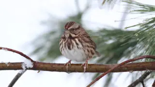 Warm and dry: Weather in Almaty for next 3 days