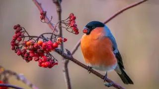 Brace for extreme cold: Kazakhstan's weather to change drastically