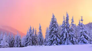 Snow and sharp cold snap on the way to Kazakhstan