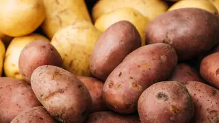 Potato prices soar in Kazakhstan: What the government is saying