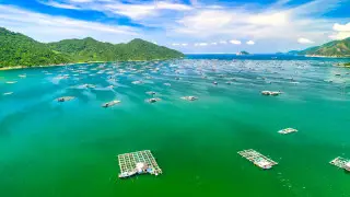 New flights will connect Kazakhstan with China, Vietnam, and Egypt