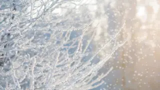 Blizzard and temperatures down to -27°C: Astana weather forecast for three days