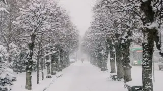 Snowfall and -28°C frost: Weather in Kazakhstan on January 22