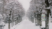 Snowfall and -28°C frost: Weather in Kazakhstan on January 22