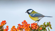 -34°C frost: Astana weather forecast for three days
