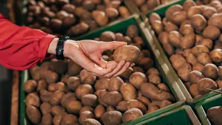 5 kg per customer: Potato sales restrictions introduced in Astana